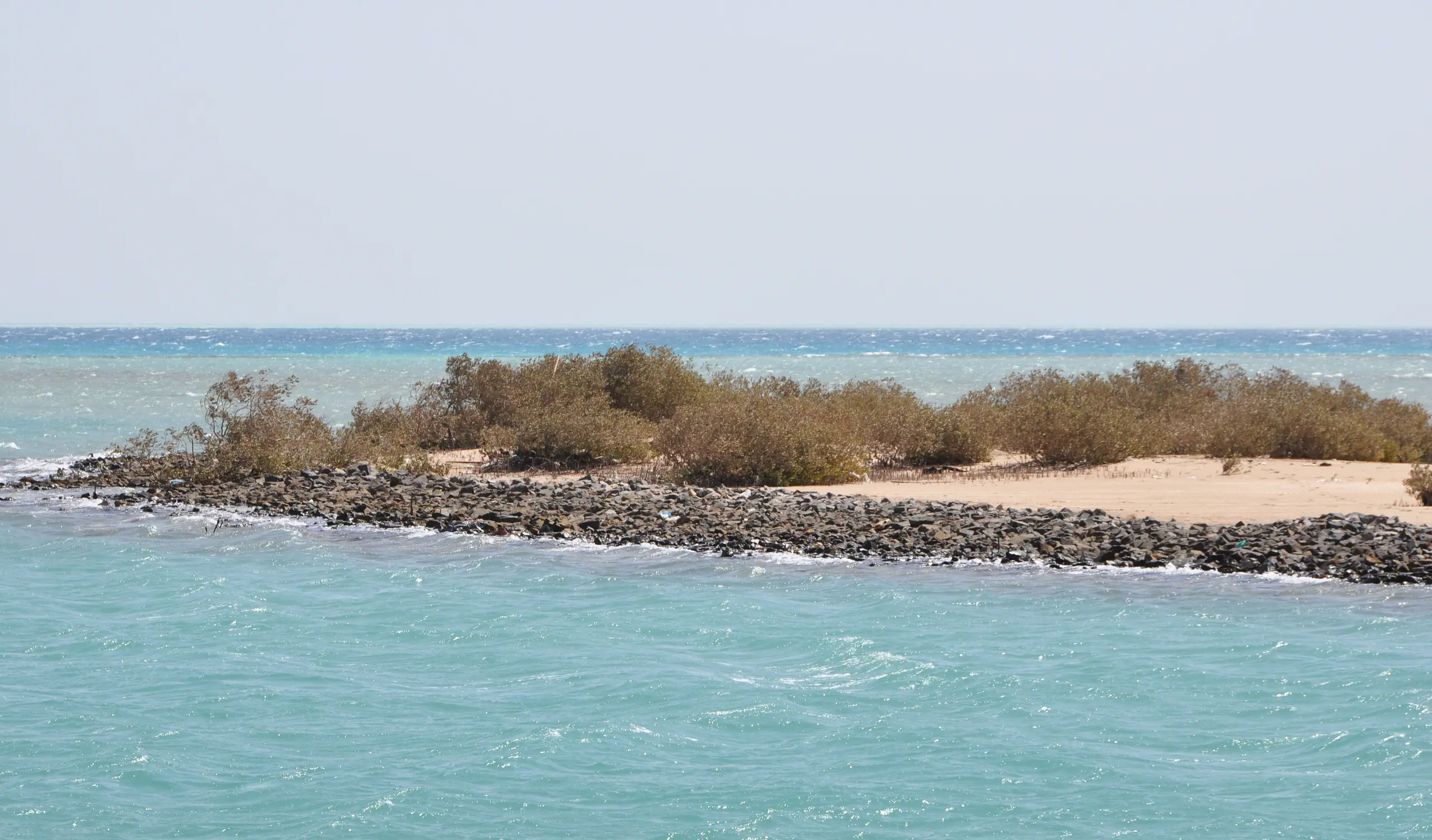 Clear turquoise water around Mangrove Island off El Gouna on the Red Sea