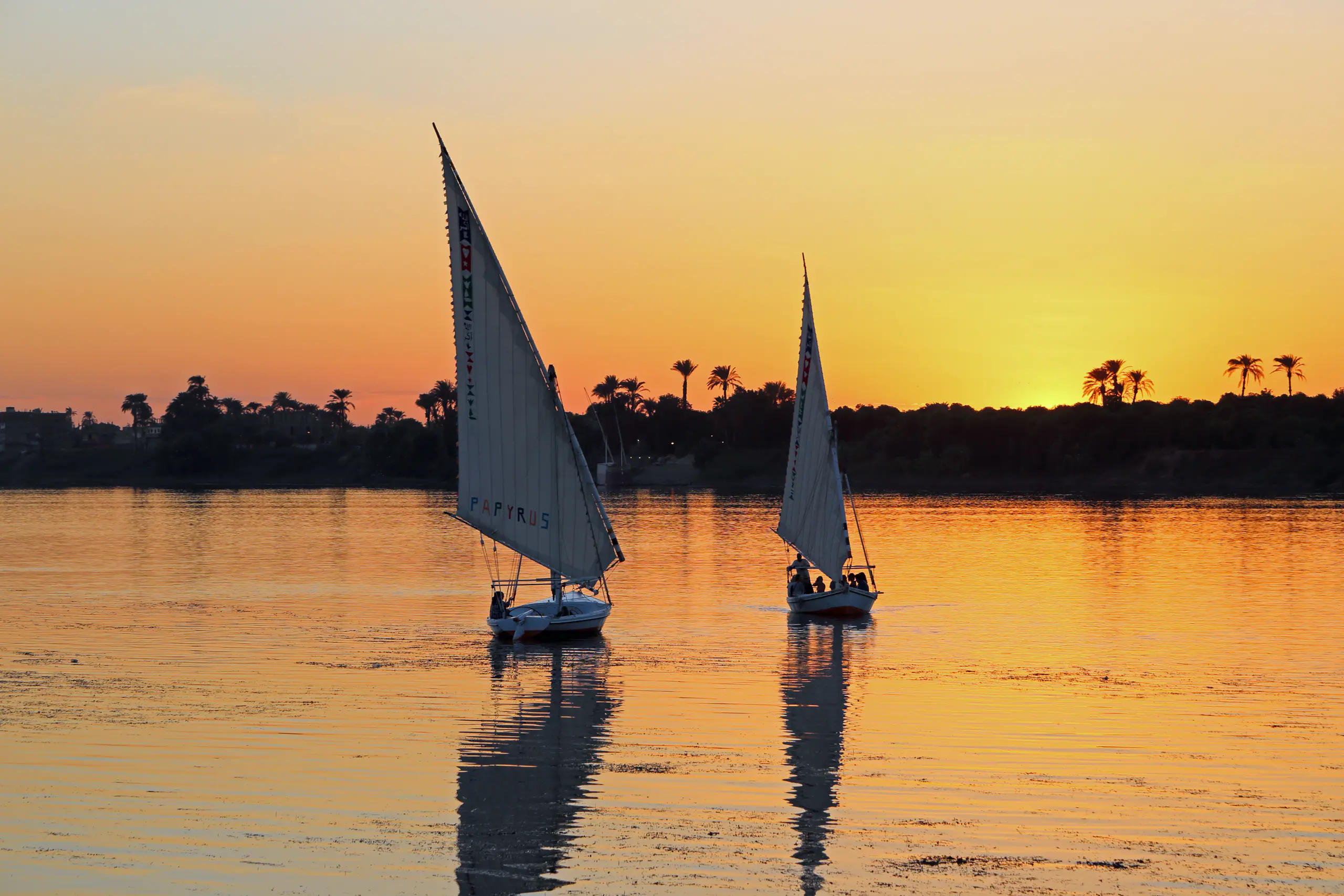 Two feluccas under sail on the Nile at Luxor at sunset, palms on the far bank
